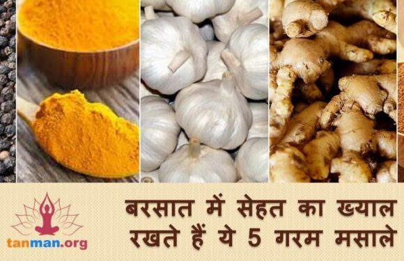 बरसात में आपकी सेहत का ख्याल रखते हैं ये 5 गरम मसाले