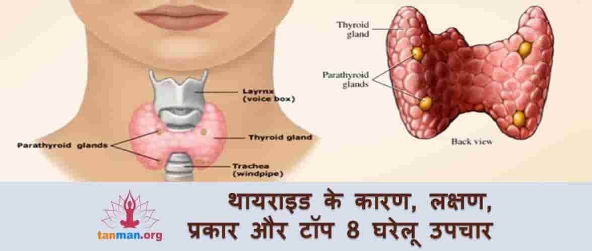 थायराइड के कारण, लक्षण, प्रकार और टॉप 8 घरेलू उपचार