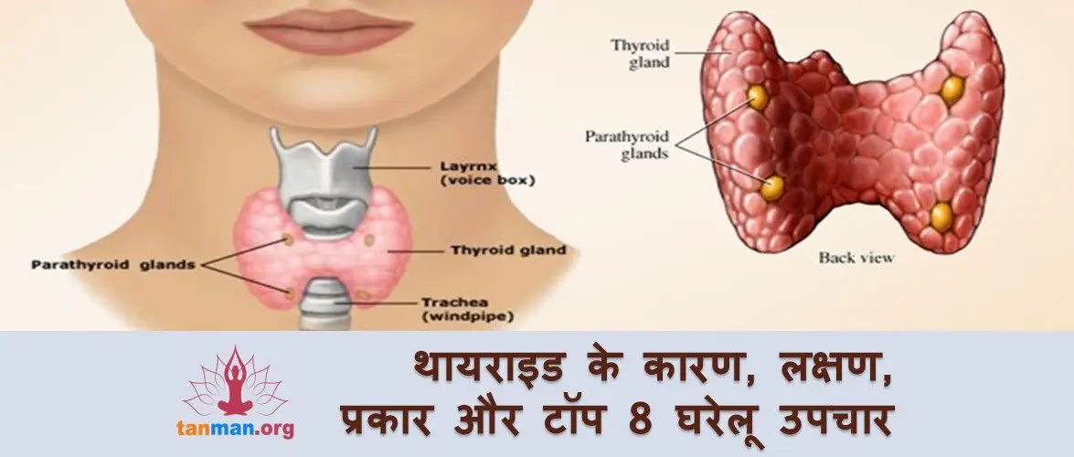 थायराइड के कारण, लक्षण, प्रकार और टॉप 8 घरेलू उपचार