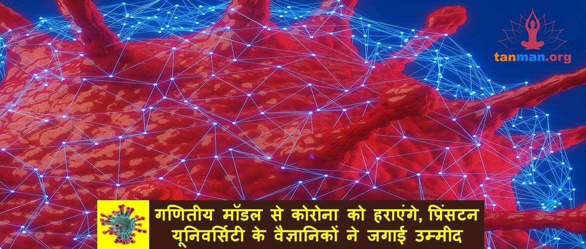 गणितीय मॉडल से कोरोना से जीतेंगे जंग, प्रिंसटन यूनिवर्सिटी के वैज्ञानिकों ने जगाई उम्मीद