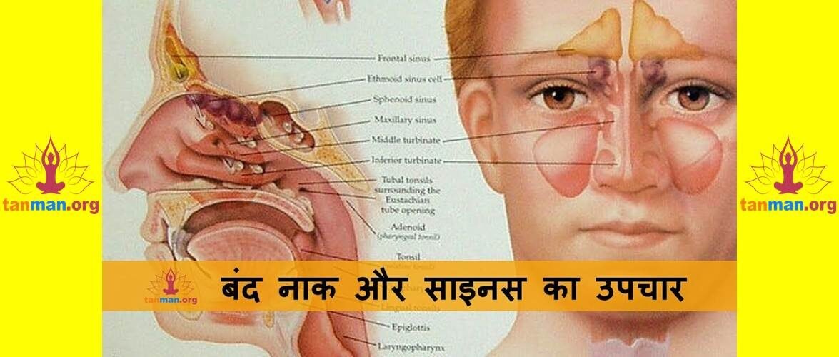 ऐसे करें बंद नाक और साइनस का रामबाण उपचार