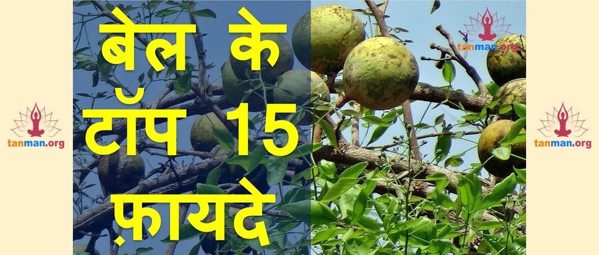 जानिए बेल के फल और पत्तों के टॉप 15 फायदे
