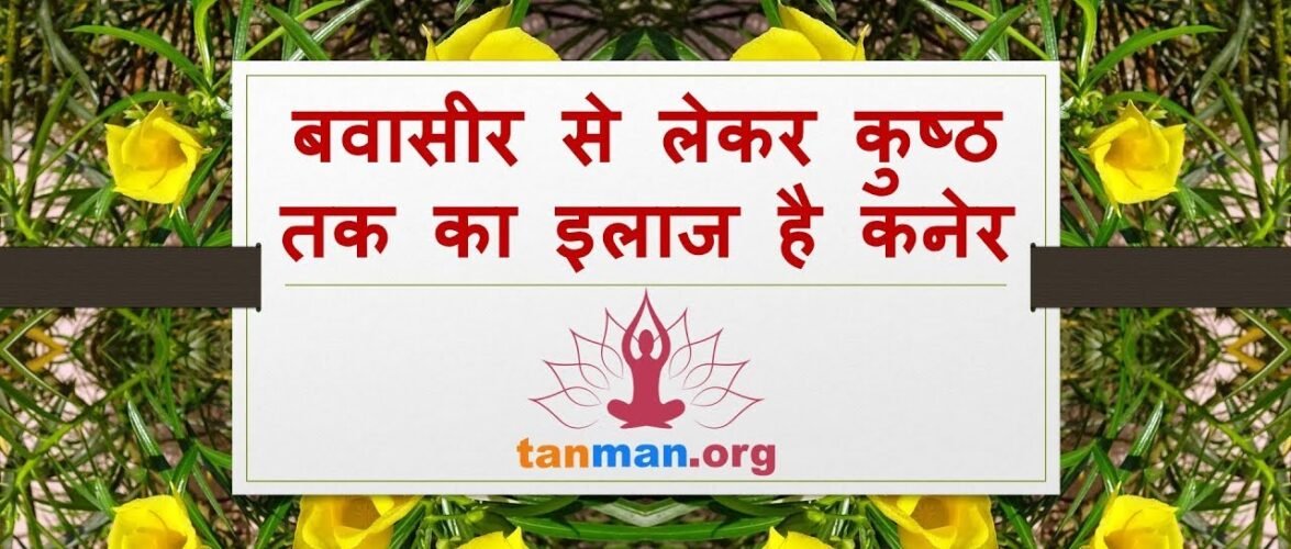 बवासीर से लेकर कुष्ठ रोग तक का इलाज है कनेर का फूल, जानें इसके टॉप 6 फायदे