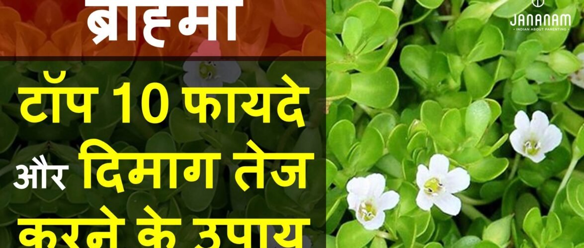 ब्राह्मी के टॉप 10 फायदे और दिमाग तेज करने के उपाय