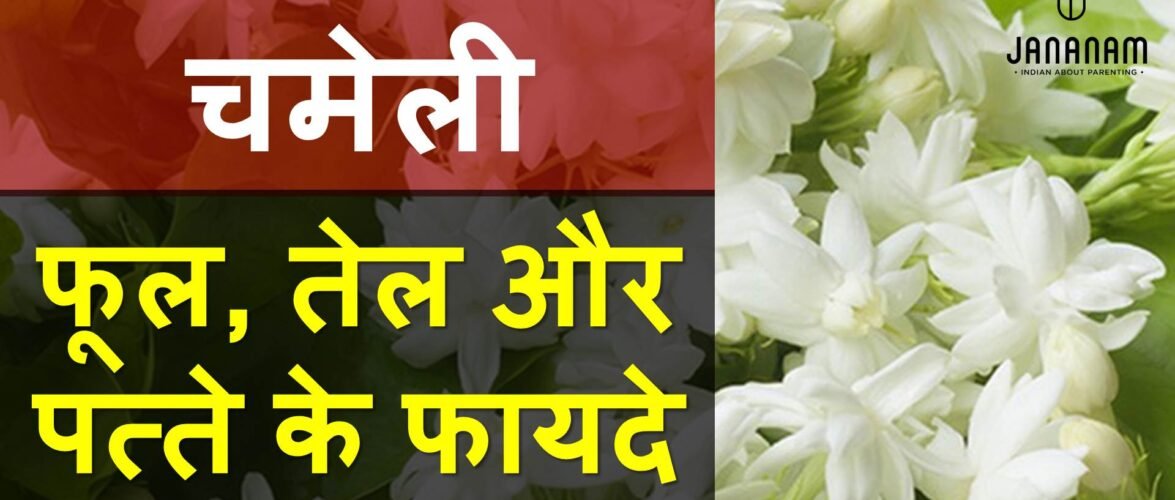 चमेली का फूल, चमेली के पत्ते और चमेली के तेल के टॉप 10 फायदे