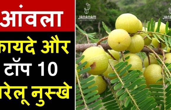 आंवला के फायदे और टॉप 10 घरेलू नुस्खे