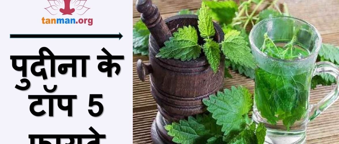 पुदीना के फायदे और टॉप 5 घरेलू नुस्खे