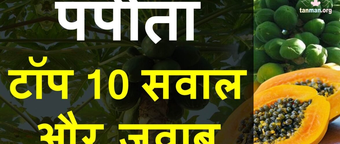 पपीता के बारे में अक्सर पूछे जाने वाले टॉप 10 सवाल और जवाब